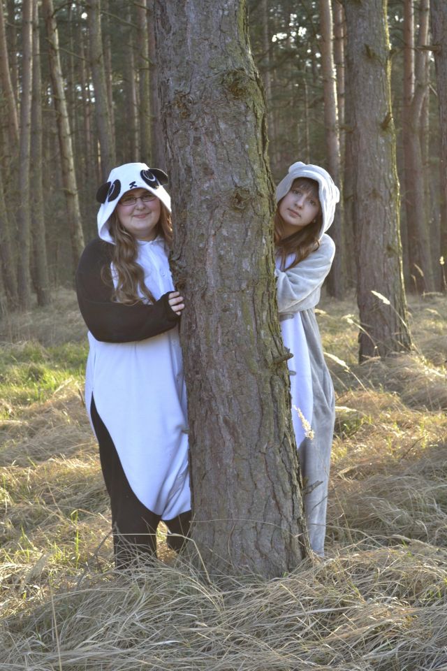 Totoro i Panda