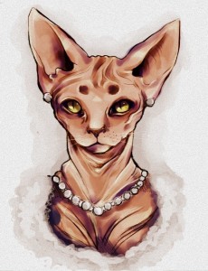 Catty by Herrbata