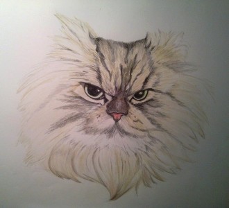 Meow by bjuriQuinn