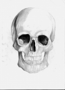 Skull by Bishuun