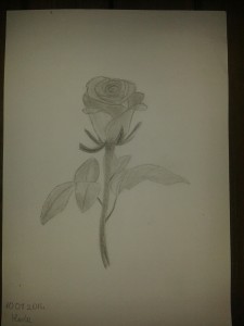 Róża by Marla