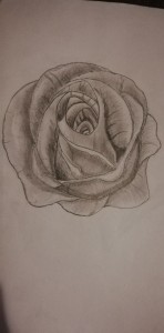 Róża by Strefa52