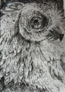 owl by mona13