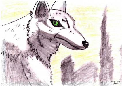 Wolf by Kimi