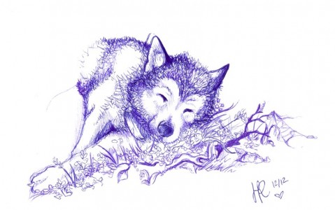 Wolf by Herrbata