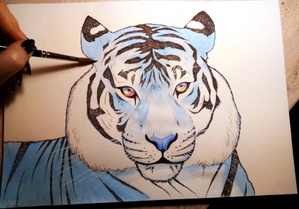 Tygrys by sayeko