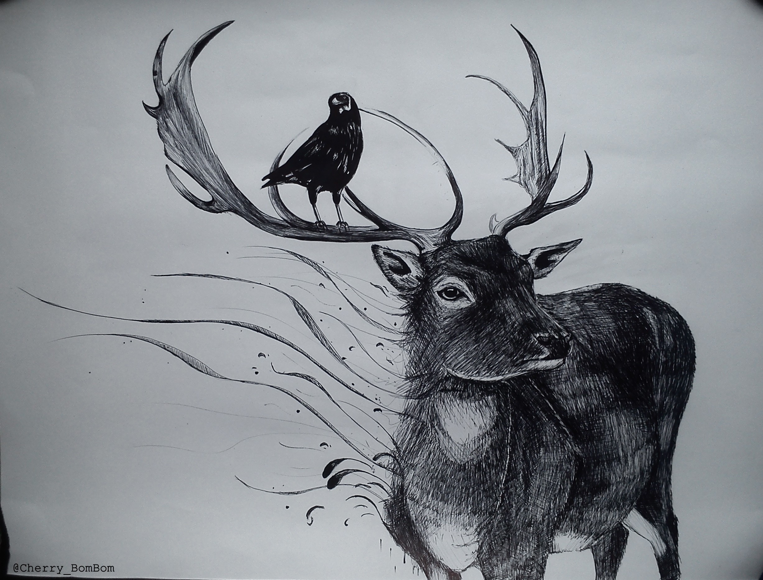 stag and crow