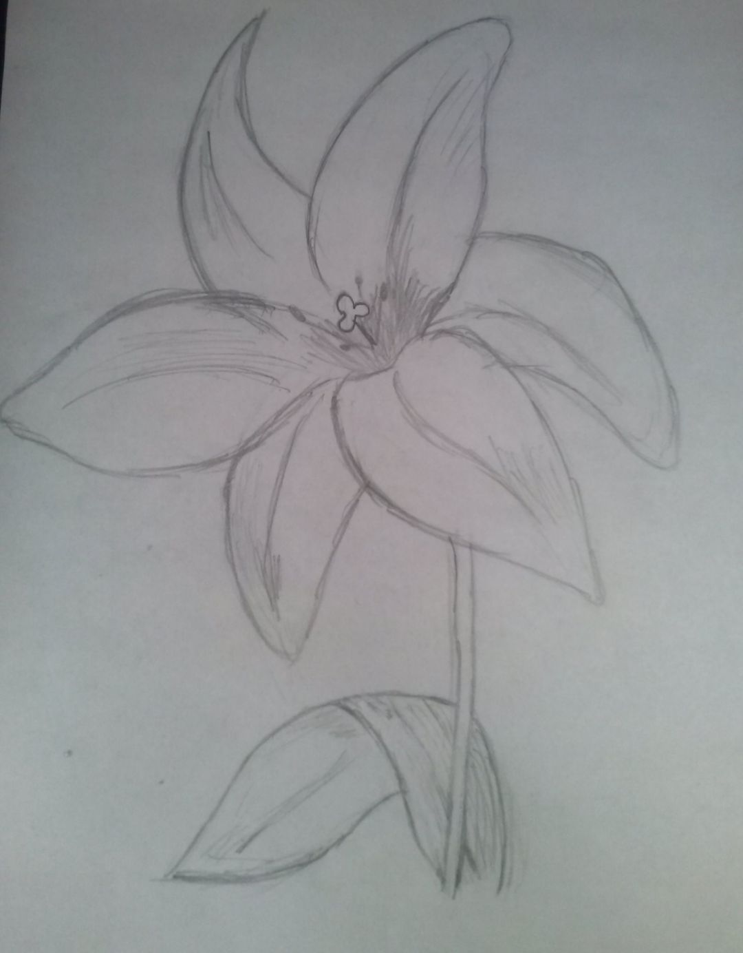 Kwiatek 2