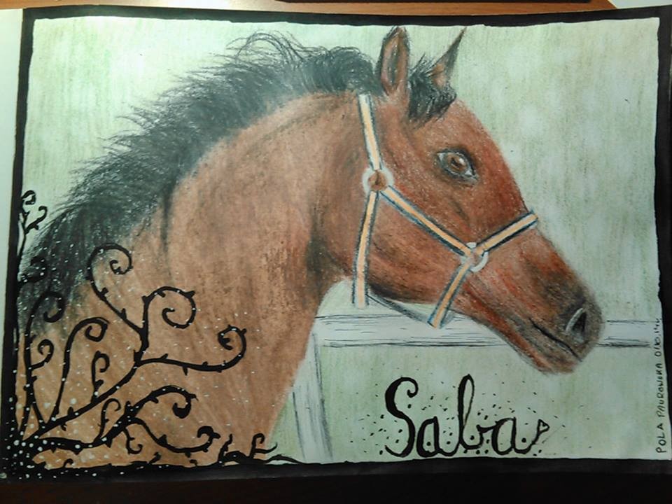 Koń Saba