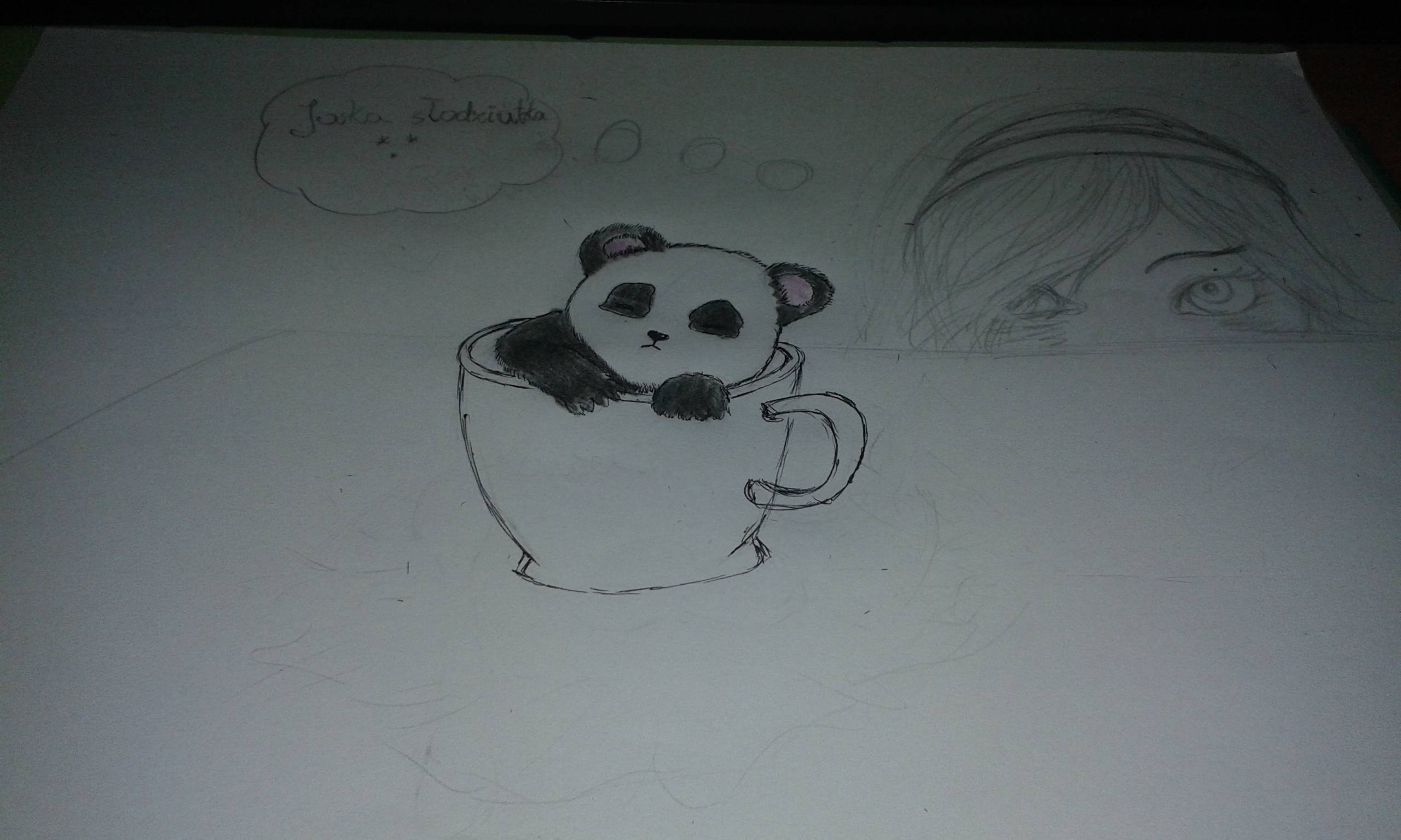 Mała panda (VIP)