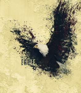 Eagle by estlay