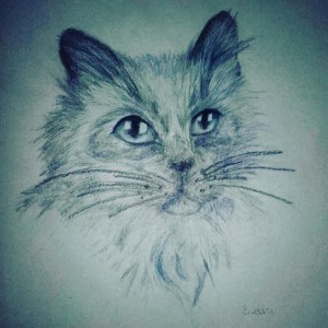 Kot by Kremowkowa