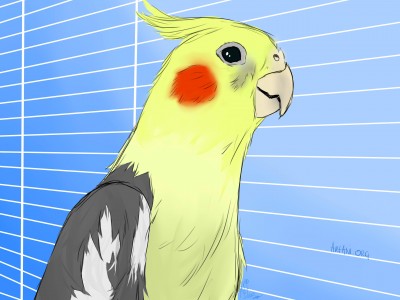 Parrot (konkurs) by MonsterGekou