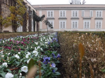 Kwiaty listopadowe w Austrii by desperek