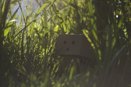 danbo by Forceofcolour