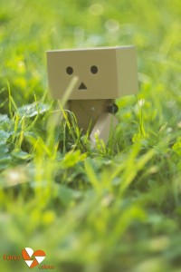 Danbo by Forceofcolour
