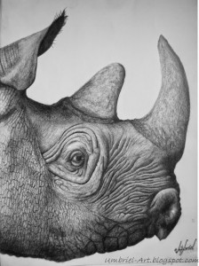 Nosorożec szkic by Umbriel