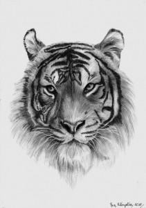 Tygrys by Arpmadore