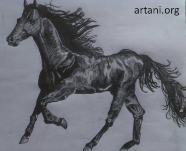 Koń (konkurs) by Pabiart