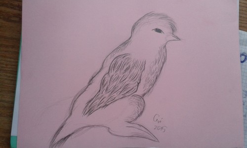 Pseudo-ptak by Ciri
