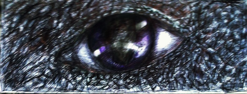 dragon eye by Darxi12