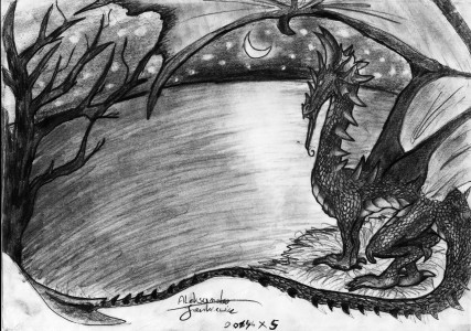 Dragon night by Hermione