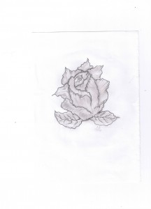 Róża by kamikadze