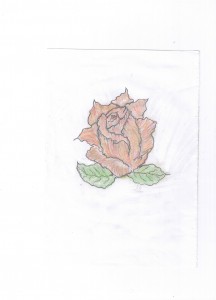 cherbaciana róża by kamikadze