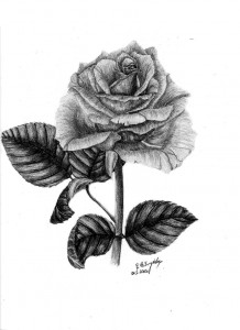 Róża by Arpmadore