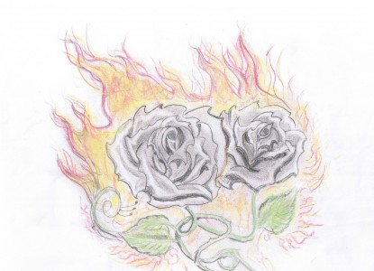 płononca róża by kamikadze