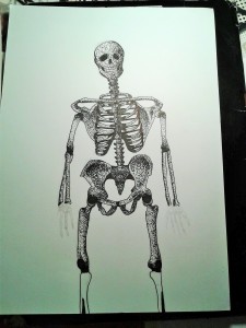 Szkielet człowieka by Alex35170