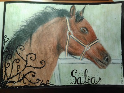 Koń Saba by LittleSusie