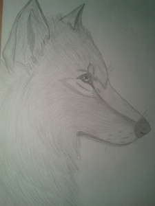 Wolf3 by Darksider