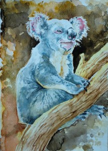 Koala by Kolibia