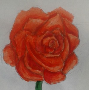 róża by Ciri