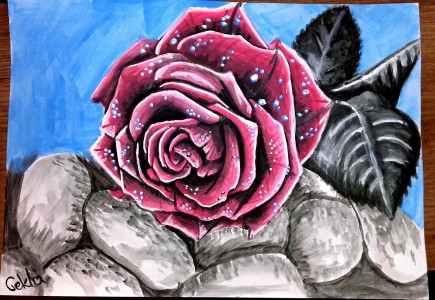 Róża by Tekla