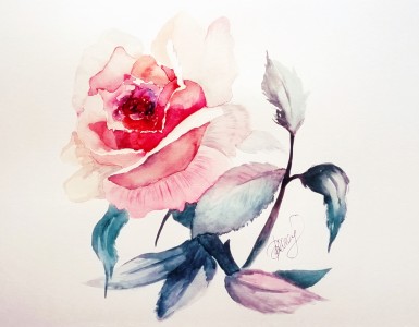 Róża by Kannra