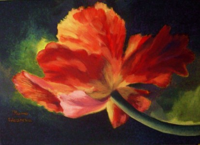 tulipan by KamaWadeckaART